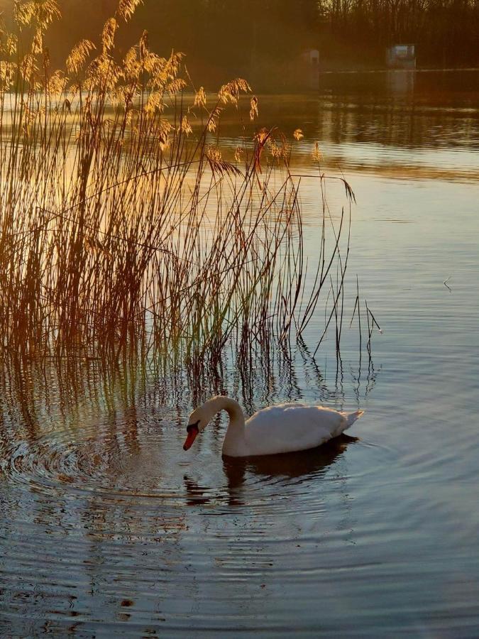 شقة Tramonto Al Lago غافيراتيه المظهر الخارجي الصورة