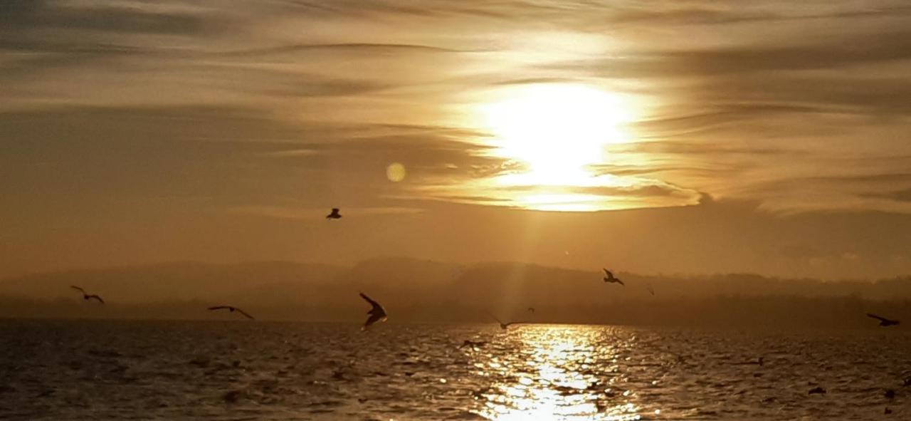 شقة Tramonto Al Lago غافيراتيه المظهر الخارجي الصورة